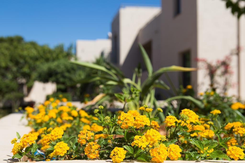 הרסוניסוס Sundance Apartments & Suites מראה חיצוני תמונה
